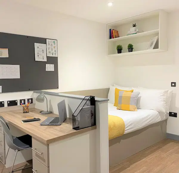 Great Patrick Street, Belfast – Studio Silver - Accessible