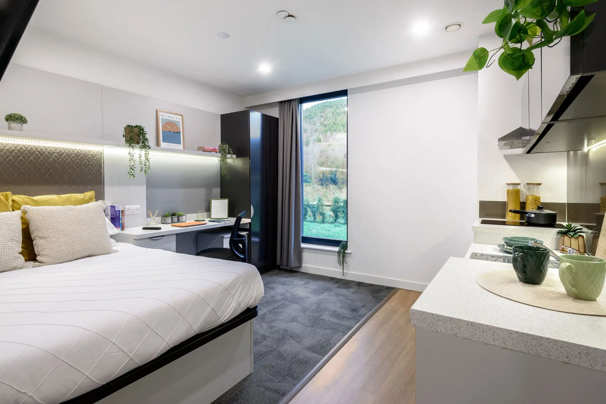 True Swansea, Swansea – True Accessible Studio River View