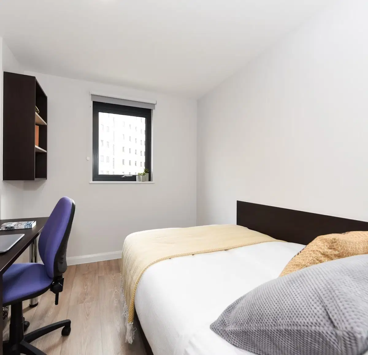 St Davids, Swansea – Ensuite Gold - City View