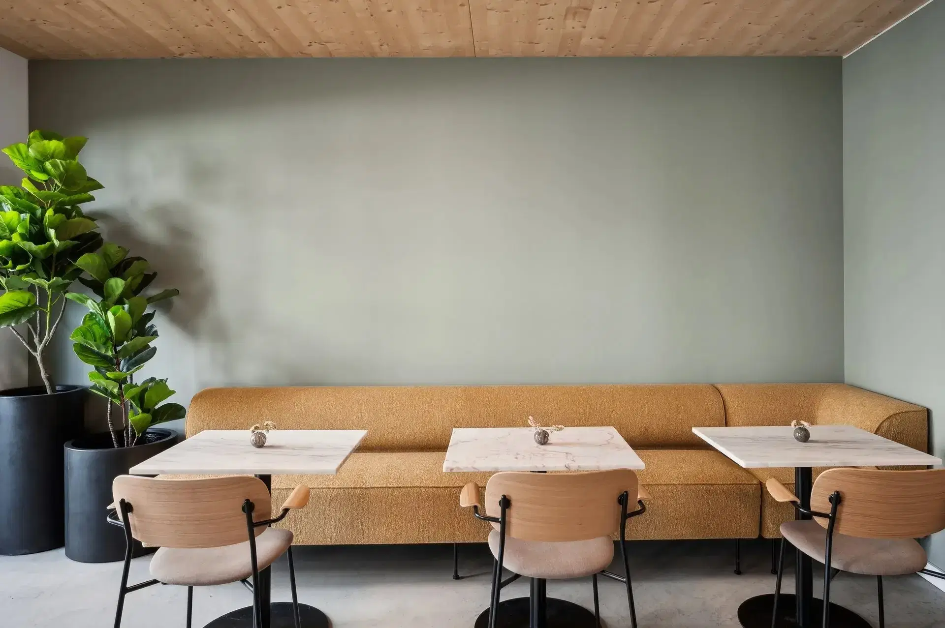 Zik, Berlin – Common Area