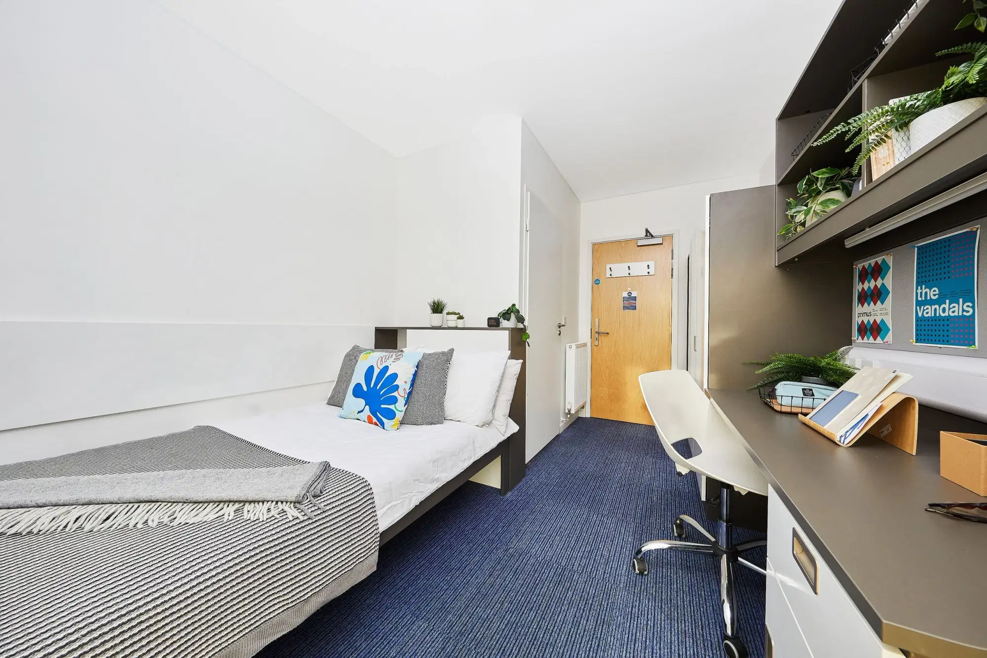 Collegiate The Copse, Colchester – Single Ensuite Premium Rooms