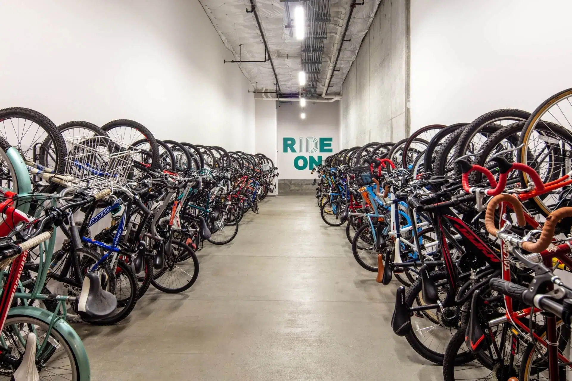 Identity Boise, Boise – Amenities
