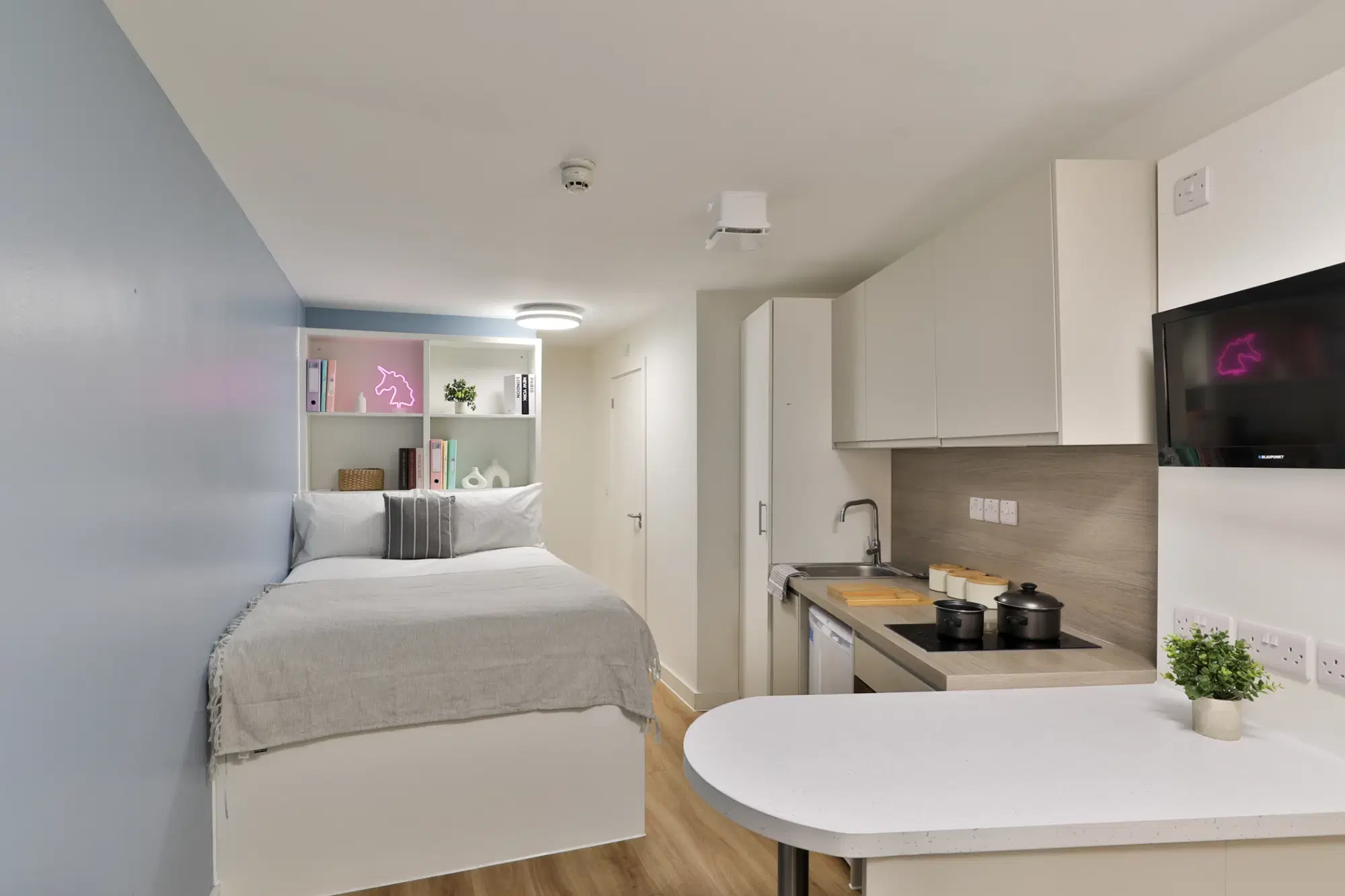 Tamarillo House, Bristol – Silver Studio
