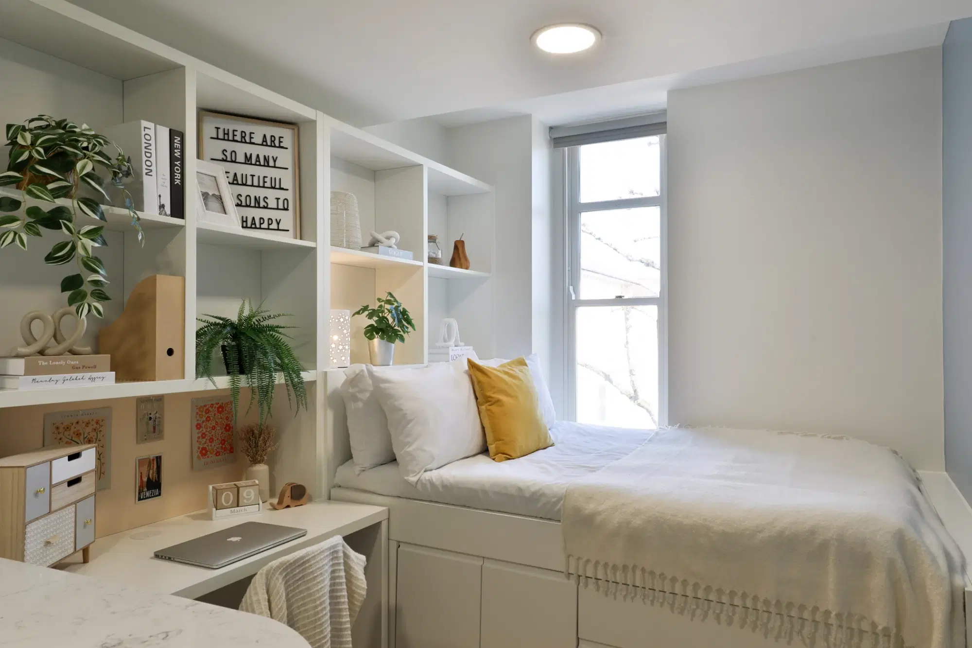 Tamarillo House, Bristol – Gold Studio