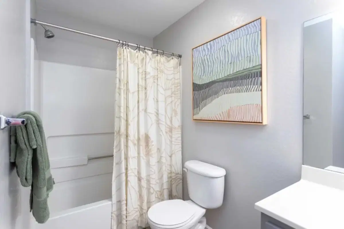 The Village of Meadowview, Boone – Bathroom