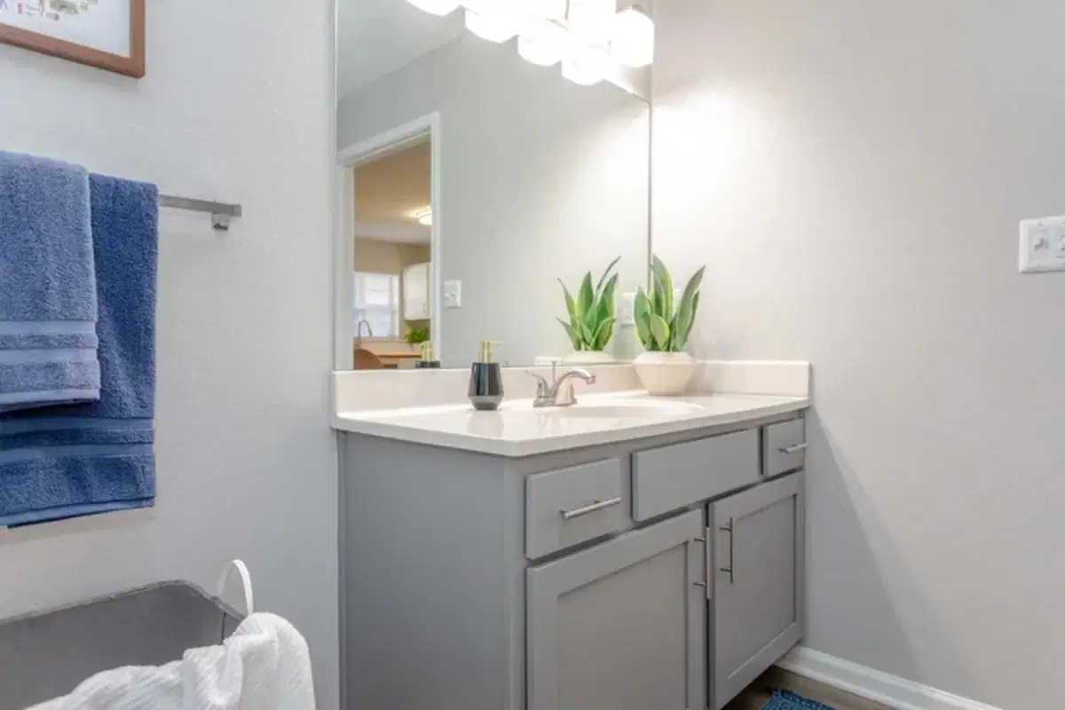 The Village of Meadowview, Boone – Bathroom